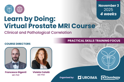 Magnetic Resonance Imaging in Prostate