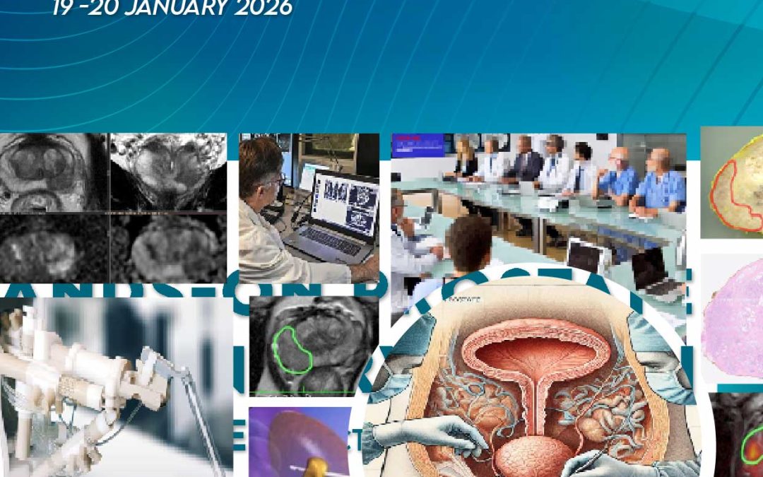 Hands-on Prostate MRI & Intervention: Mastercourse – Practical Prostate Course